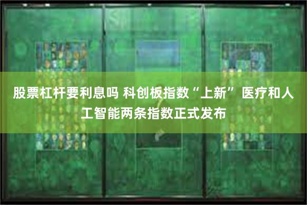 股票杠杆要利息吗 科创板指数“上新” 医疗和人工智能两条指数正式发布