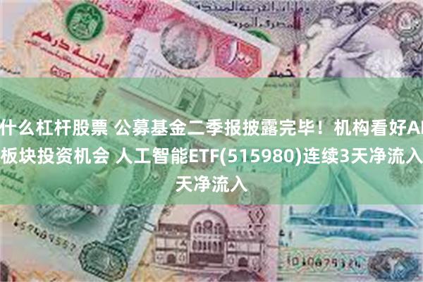 什么杠杆股票 公募基金二季报披露完毕！机构看好AI板块投资机会 人工智能ETF(515980)连续3