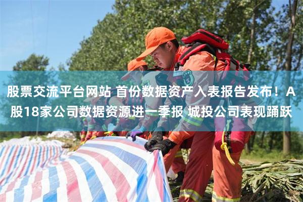 股票交流平台网站 首份数据资产入表报告发布！A股18家公司数据资源进一季报 城投公司表现踊跃