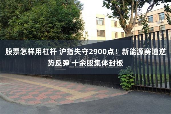 股票怎样用杠杆 沪指失守2900点！新能源赛道逆势反弹 十余股集体封板