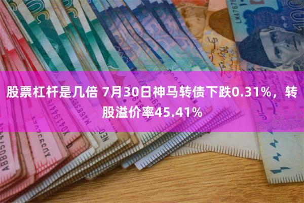 股票杠杆是几倍 7月30日神马转债下跌0.31%，转股溢价率45.41%