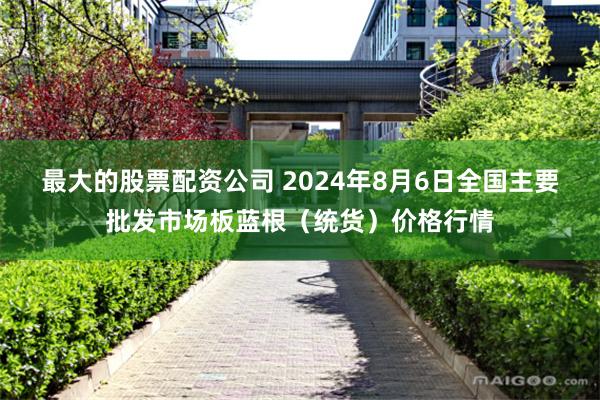 最大的股票配资公司 2024年8月6日全国主要批发市场板蓝根（统货）价格行情