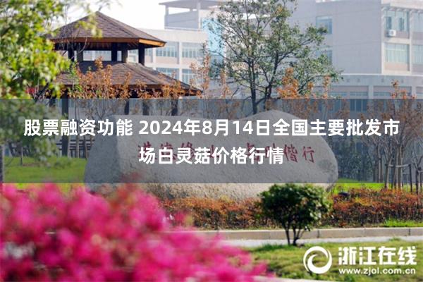 股票融资功能 2024年8月14日全国主要批发市场白灵菇价格行情