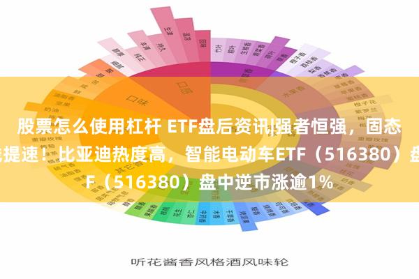 股票怎么使用杠杆 ETF盘后资讯|强者恒强，固态电池产业化全线提速！比亚迪热度高，智能电动车ETF（516380）盘中逆市涨逾1%