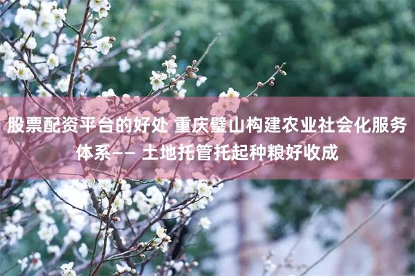 股票配资平台的好处 重庆璧山构建农业社会化服务体系—— 土地托管托起种粮好收成