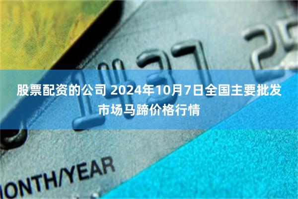 股票配资的公司 2024年10月7日全国主要批发市场马蹄价格行情