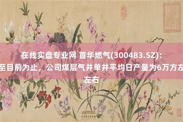 在线实盘专业网 首华燃气(300483.SZ)：截至目前为止，公司煤层气井单井平均日产量为6万方左右