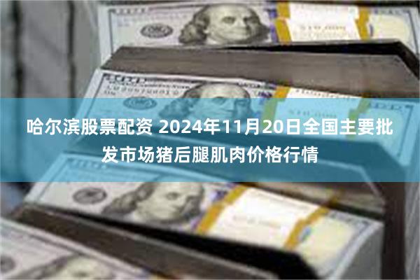 哈尔滨股票配资 2024年11月20日全国主要批发市场猪后腿肌肉价格行情