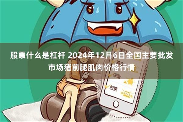 股票什么是杠杆 2024年12月6日全国主要批发市场猪前腿肌肉价格行情