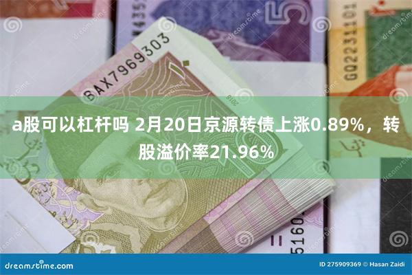 a股可以杠杆吗 2月20日京源转债上涨0.89%，转股溢价率21.96%