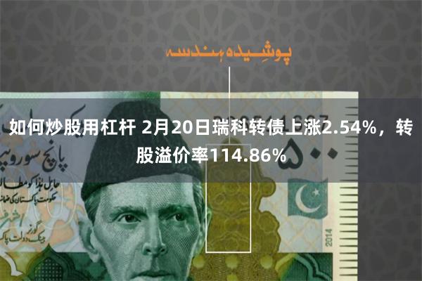 如何炒股用杠杆 2月20日瑞科转债上涨2.54%，转股溢价率114.86%