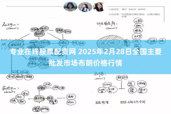 专业在线股票配资网 2025年2月28日全国主要批发市场布朗价格行情