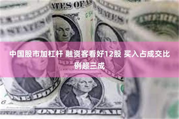 中国股市加杠杆 融资客看好12股 买入占成交比例超三成